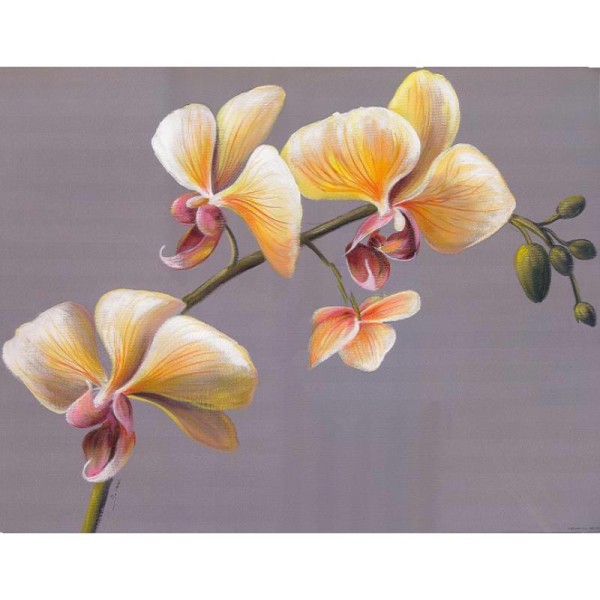 Image 3D Fleur - Orchidée fond bleu 40 x 50 cm - Photo n°1