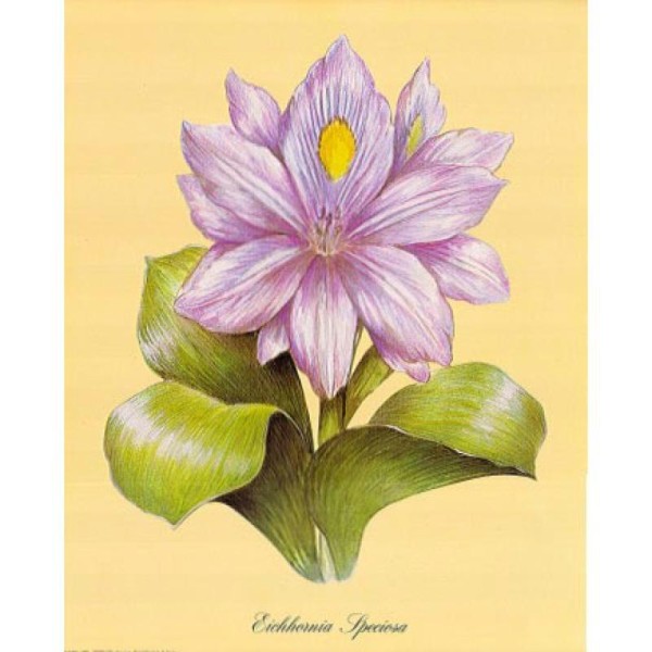 Image 3D Fleur - Fleur violette 24 x 30 cm - Photo n°1
