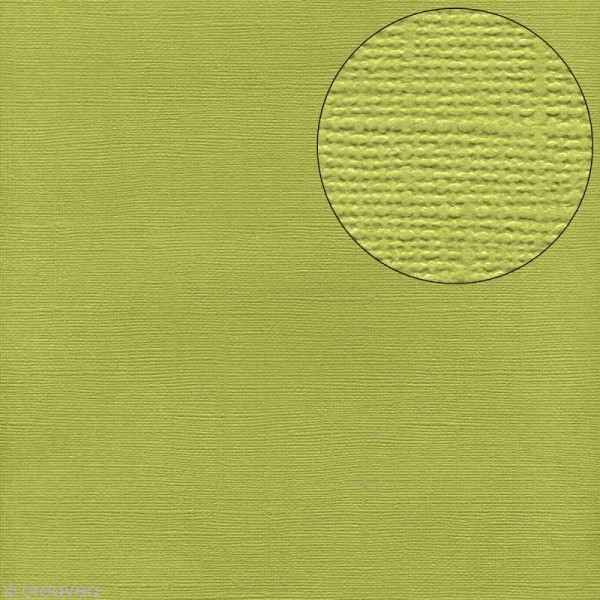 Papier scrapbooking Bazzill 30 x 30 cm - Texture - Limeade (vert) - Photo n°1