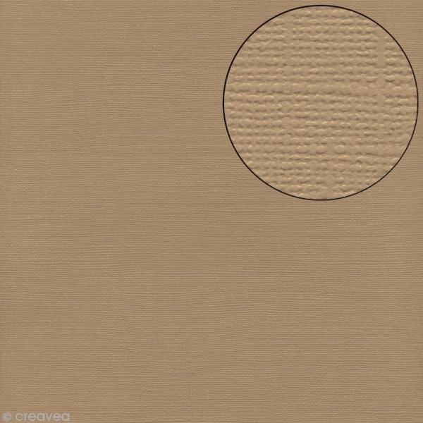 Papier scrapbooking Bazzill 30 x 30 cm - Texture - Twig (beige) - Photo n°1