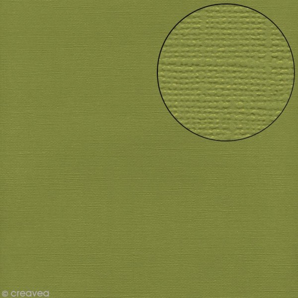 Papier scrapbooking Bazzill 30 x 30 cm - Texture - Parakeet (vert) - Photo n°1