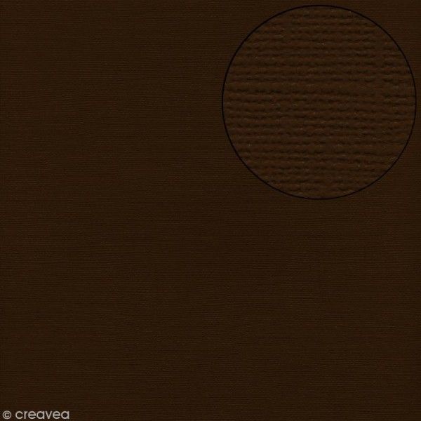 Papier scrapbooking Bazzill 30 x 30 cm - Texture - Pinecone (marron foncé) - Photo n°1