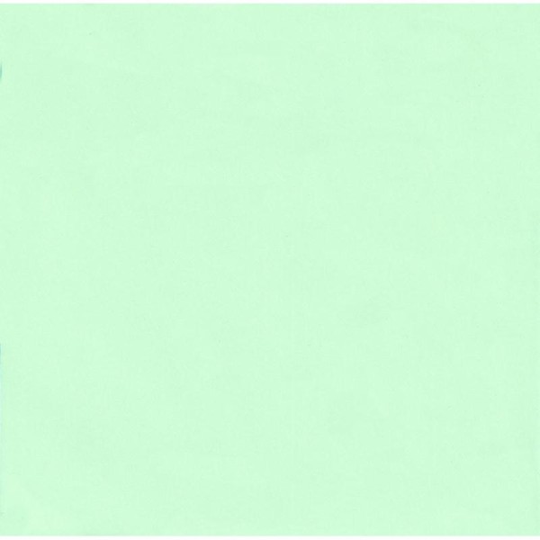 10 Enveloppes Velin Vert pâle 17x17 cm - Photo n°2
