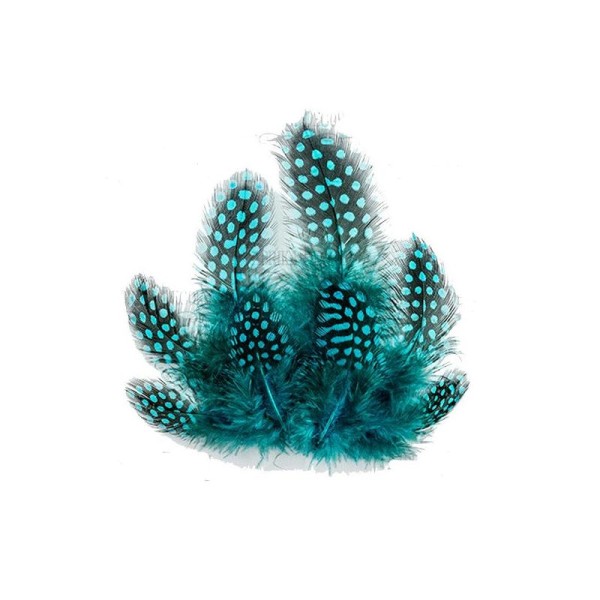 10 plumes décoration, scrapbooking Fabrika Décoru TURQUOISE - Photo n°1
