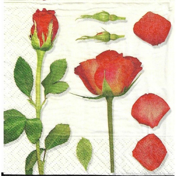 4 Serviettes en papier Parfum de Rose Fleur Format Cocktail - Photo n°1
