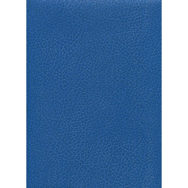 Skivertex® buffle bleu Roy, simili cuir - Photo n°1