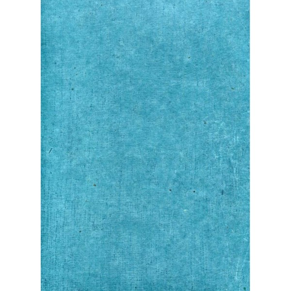Toilé bleu canard, papier népalais - Photo n°1