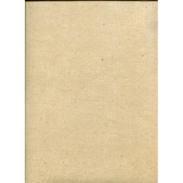 Toilé ivoire, papier népalais - Photo n°1