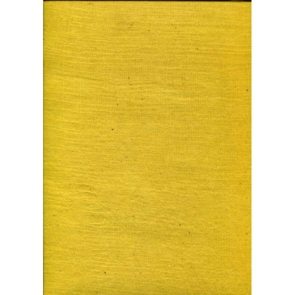 Toilé jaune, papier népalais - Photo n°1