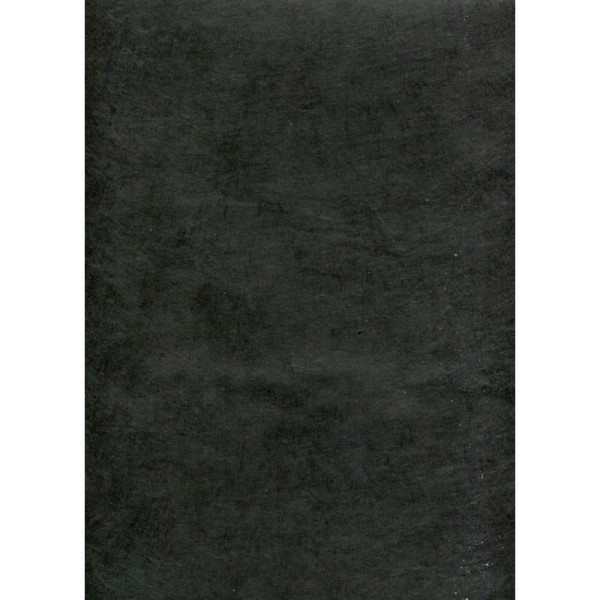 Toilé noir, papier népalais - Photo n°1