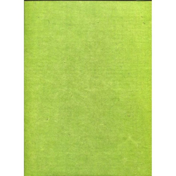 Toilé vert clair, papier népalais - Photo n°1