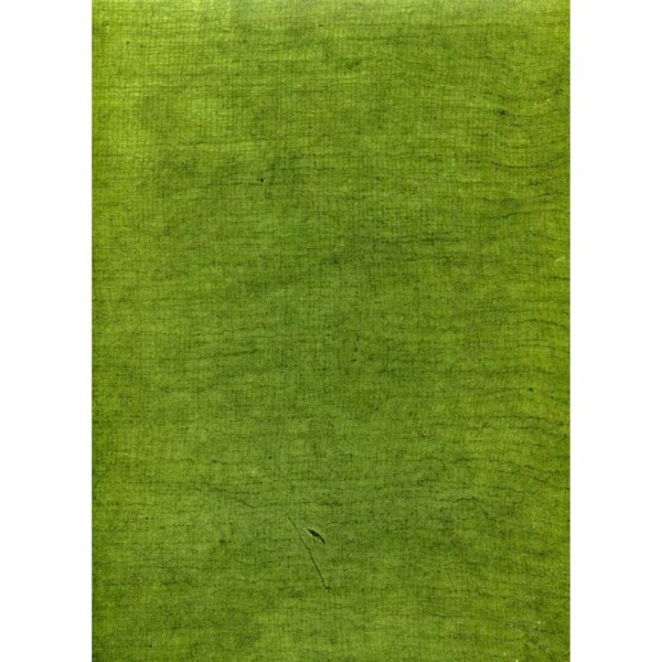 Toilé vert foncé, papier népalais - Photo n°1