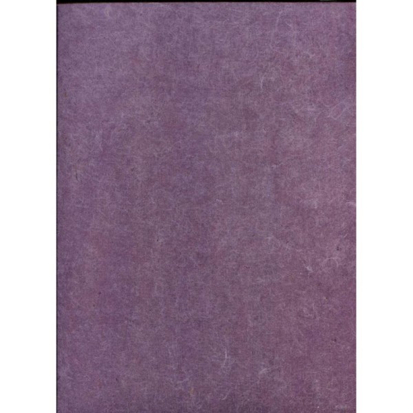 Toilé violet clair, papier népalais - Photo n°1