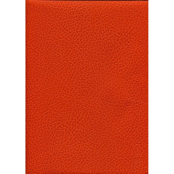Skivertex® buffle orange, simili cuir - Photo n°1