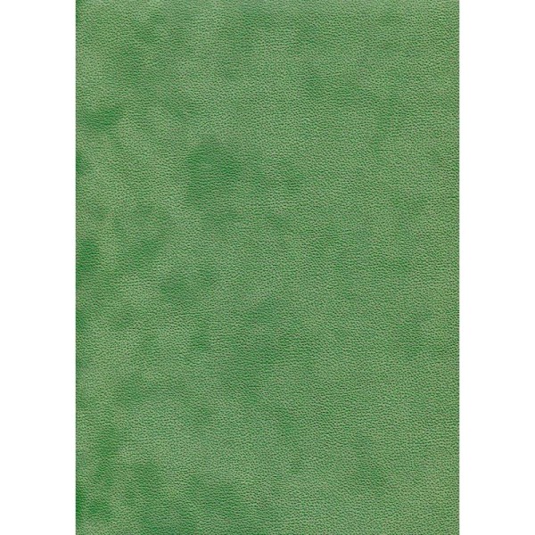 Soft vert, papier simili velours - Photo n°1