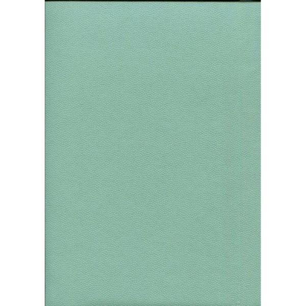 Skivertex® galuchat vert d'eau, papier simili cuir - Photo n°1
