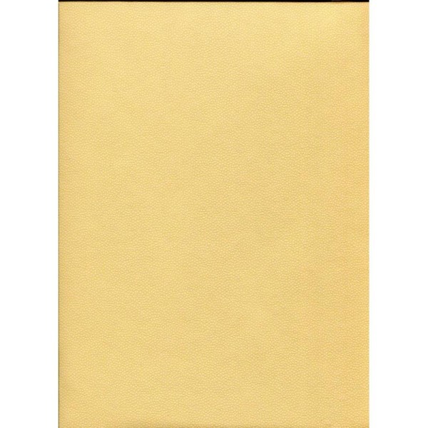 Le skivertex® galuchat vanille, papier simili cuir - Photo n°1