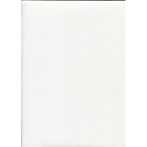 Skivertex® galuchat blanc, papier simili cuir - Photo n°1