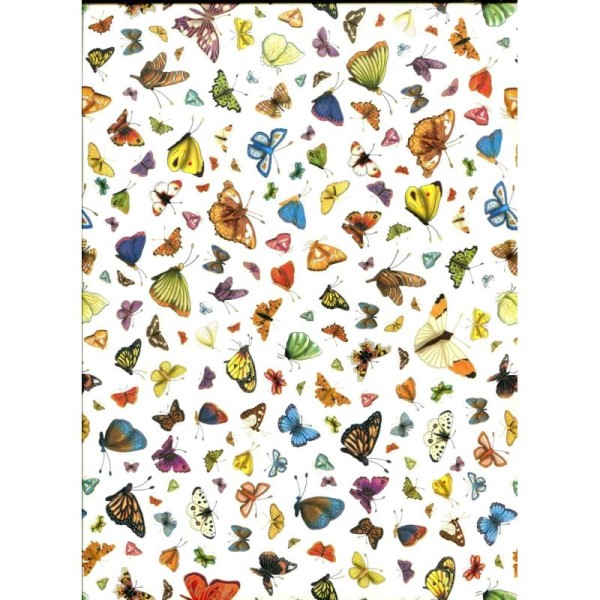 Papillon exotique, papier fantaisie - Photo n°1