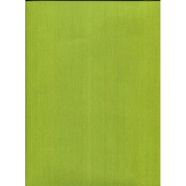 Silk vert anis, papier simili - Photo n°1