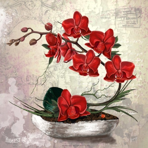 Image 3D - gk3030061 - 30x30 - compo florale orchidées rouge - Photo n°1