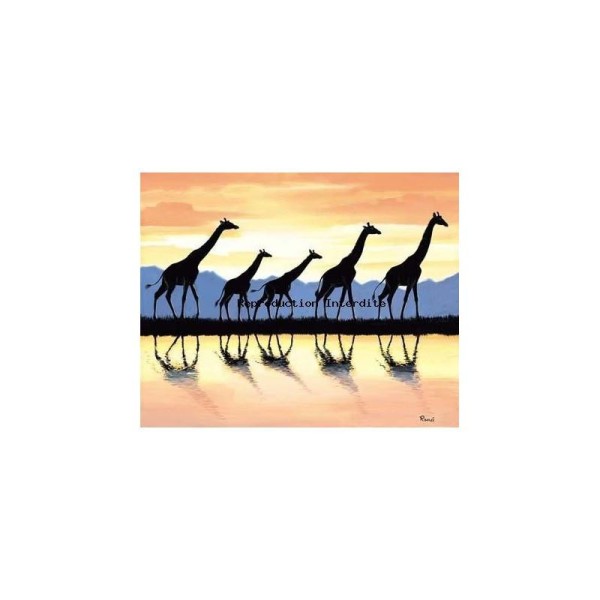 Image 3D - 2000782 - 40x50 - 5 girafes - Photo n°1