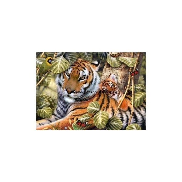 Image 3D - gk3040004 - 30x40 - tigres - Photo n°1