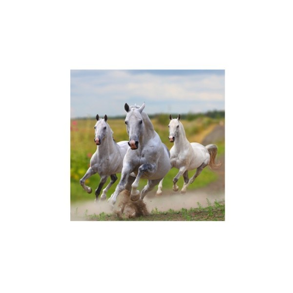 Image 3D - gk3030011 - 30x30 - 3 chevaux blancs - Photo n°1