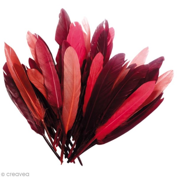 Plumes Indien Camaïeu rouge - 15 cm - 10 gr - Photo n°1