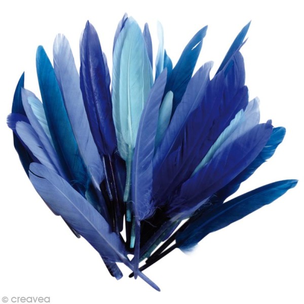Plumes Indien Camaïeu bleu - 15 cm - 10 gr - Photo n°1