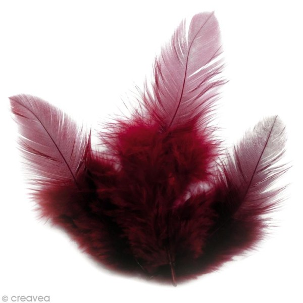 Plumes Coq Bordeaux - 10 cm - 3 gr - Photo n°1