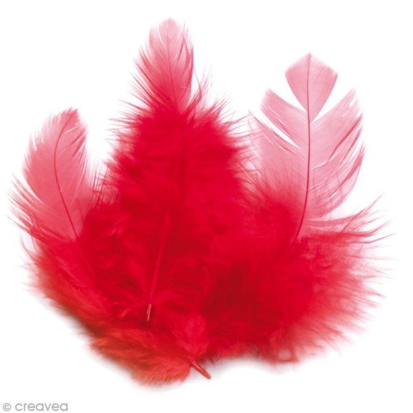 Lot 10 plumes nageoire d'oie rouge 12/14 cm de belle qualité