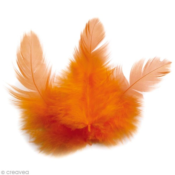 Plumes Coq Orange - 10 cm - 3 gr - Photo n°1