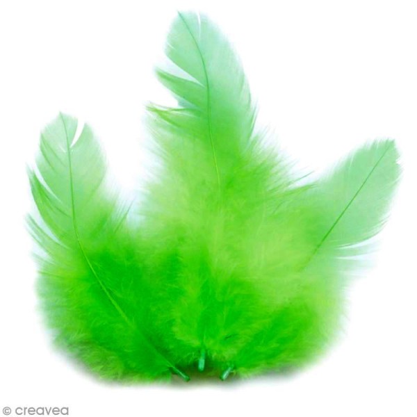 Plumes Coq Vert clair - 10 cm - 3 gr - Photo n°1