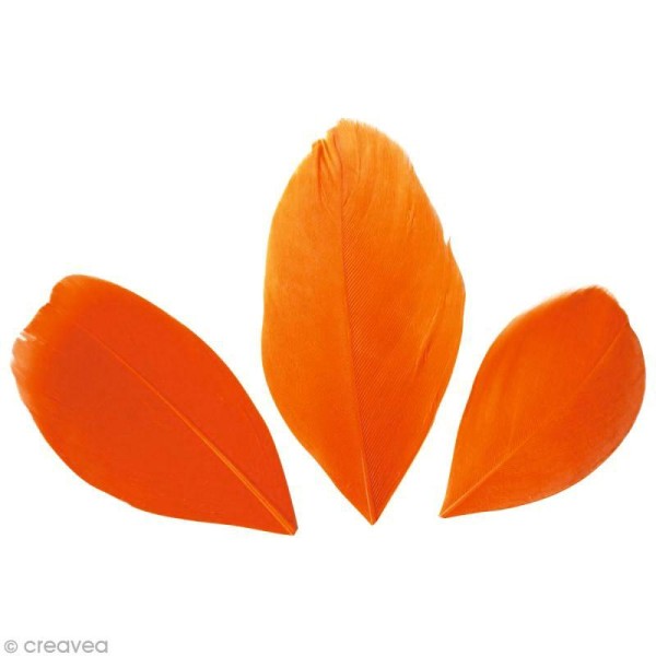 Plumes Coupées Orange - 6 cm - 3 gr - Photo n°1