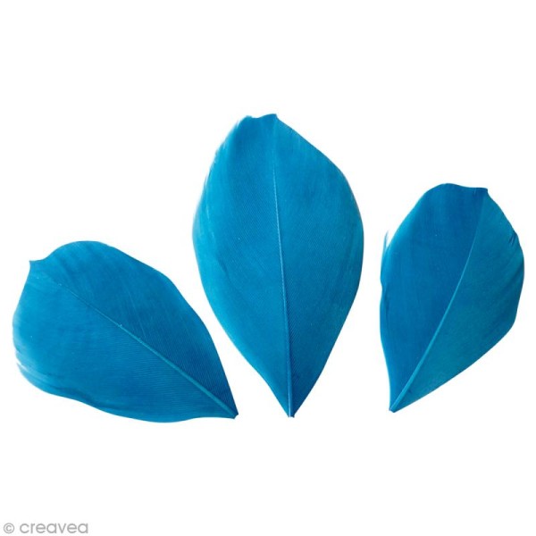 Plumes Coupées Bleu turquoise - 6 cm - 3 gr - Photo n°1