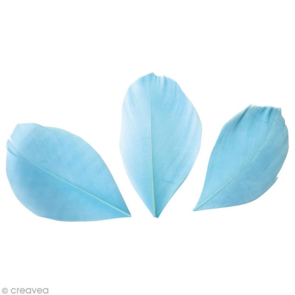 Plumes Coupées Bleu clair - 6 cm - 3 gr - Photo n°1