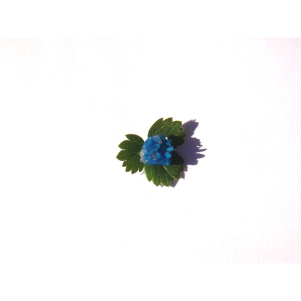 Cavansite : MICRO fleur brute cristallisée 1 CM x 8 MM environ - Photo n°3