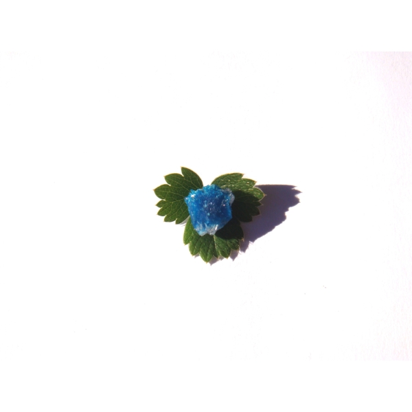 Cavansite : MICRO fleur brute cristallisée 1 CM x 8 MM environ - Photo n°4
