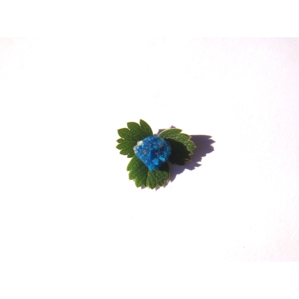 Cavansite : MICRO fleur brute cristallisée 1 CM x 8 MM environ - Photo n°1