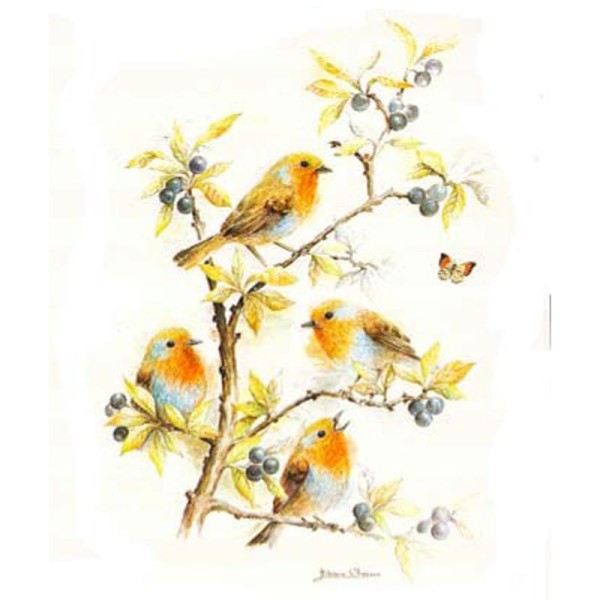 Image 3D Animaux - Oiseaux sur la branche 24 x 30 cm - Photo n°1