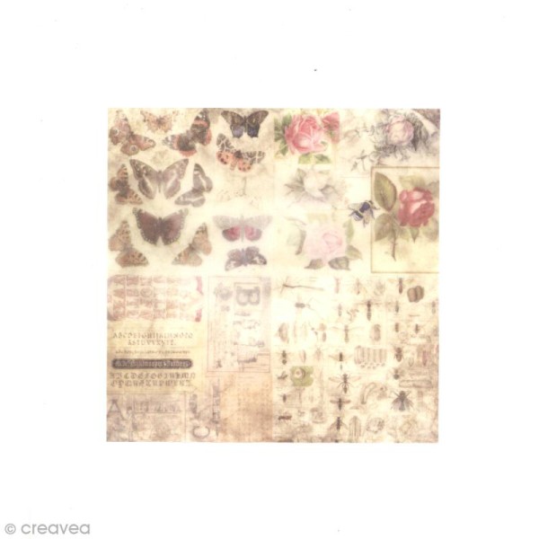 Papier vélin Papermania - Madame Payraud - 15,2 x 15,2 cm - 10 feuilles - Photo n°6