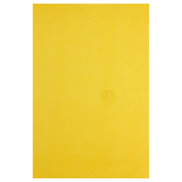 Papier de soie 0,75x0,50m 8 feuilles jaune d'or - Photo n°2