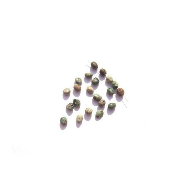 Turquoise Africaine : Lot 21 Perles irrégulières 5/7 MM de longueur - Photo n°1