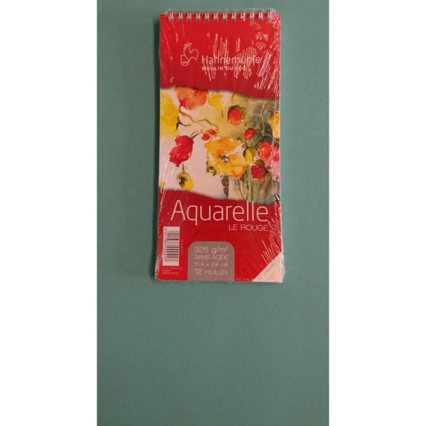 Aquarelle le rouge 11.4x24 Hahnemuhle - Photo n°1