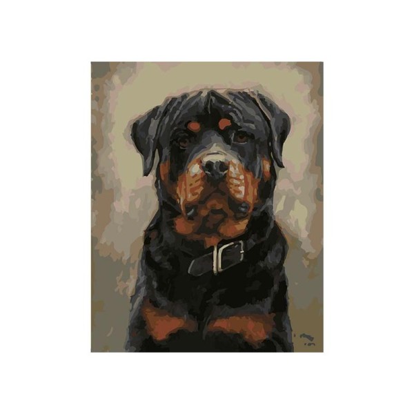 Kit de peinture par numéros - Rottweiler - 50x40cm - Photo n°1