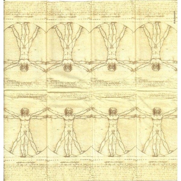 4 Mouchoirs en papier Homme de Vitruve Léonard de Vinci - Photo n°1