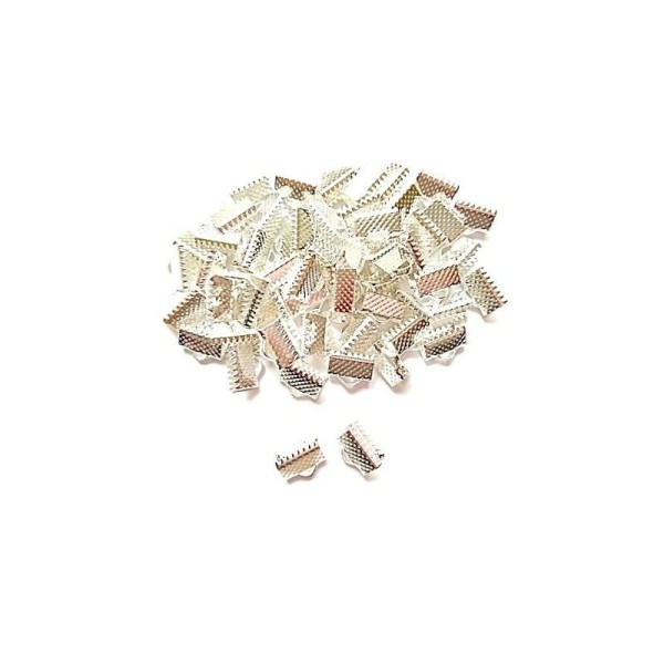 35 Fermoirs-embouts à griffe couleur plaqué argent 13 x 8 mm - Photo n°1