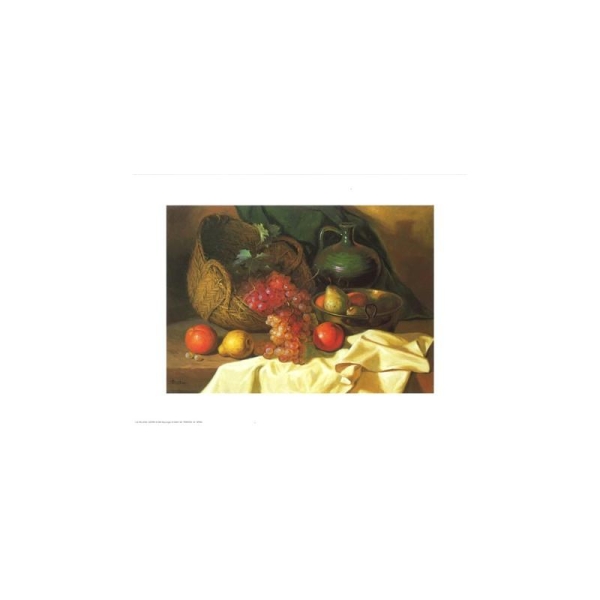 Image 3D - astro 466 - 24x30 - nappe blanche et fruits - Photo n°1