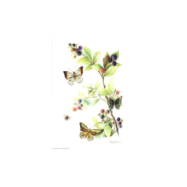 Image 3D - venezia 76 - 24x30 - papillon - Photo n°1
